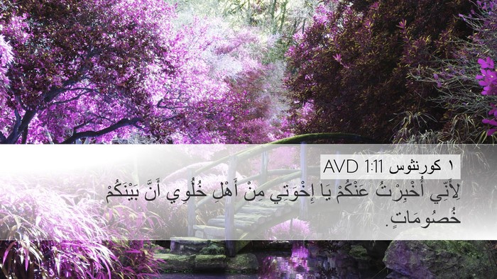 ١ كورنثوس 1:11 AVD Desktop Wallpaper - لِأَنِّي أُخْبِرْتُ - Desktop Bible Verse Wallpaper
