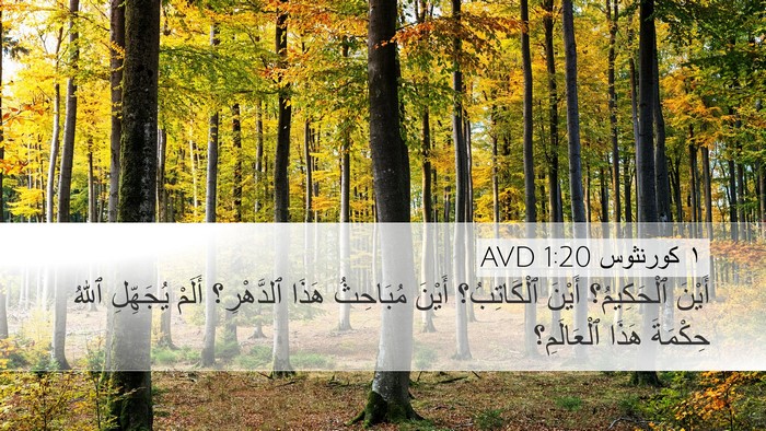 ١ كورنثوس 1:20 AVD Bible Verse Image