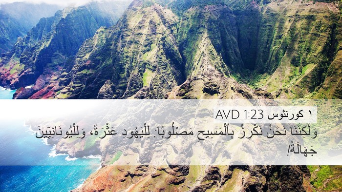 ١ كورنثوس 1:23 AVD Bible Verse Image