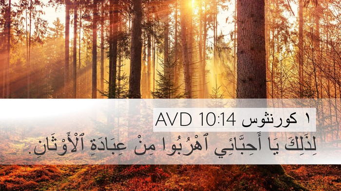 ١ كورنثوس 10:14 AVD Bible Verse Image