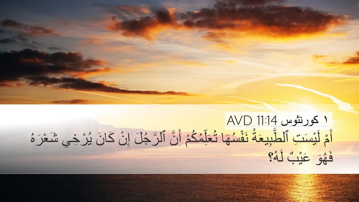 ١ كورنثوس 11:14 AVD Bible Verse Image