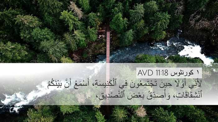 ١ كورنثوس 11:18 AVD Bible Verse Image