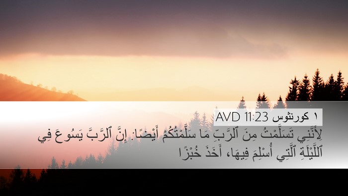 ١ كورنثوس 11:23 AVD Bible Verse Image