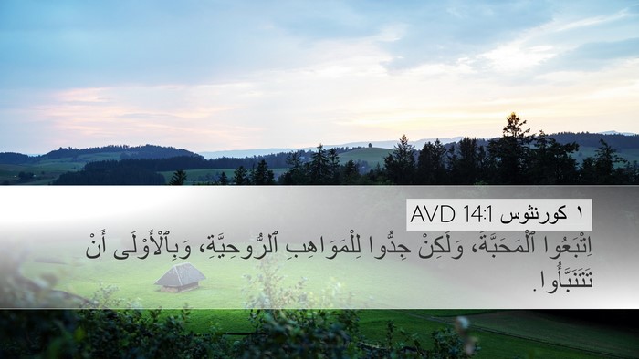 ١ كورنثوس 14:1 AVD Bible Verse Image