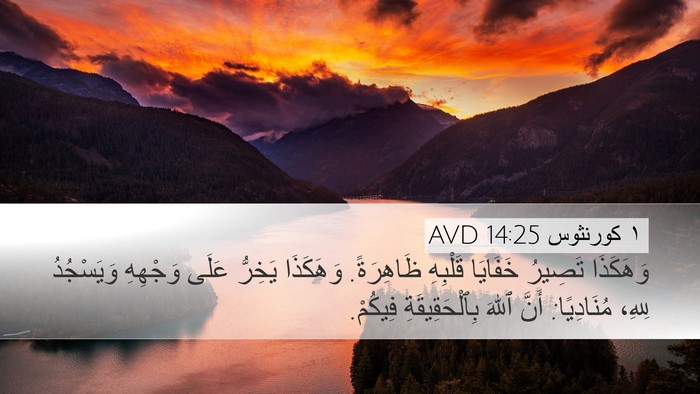 ١ كورنثوس 14:25 AVD Bible Verse Image