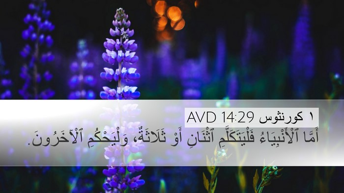 ١ كورنثوس 14:29 AVD Bible Verse Image