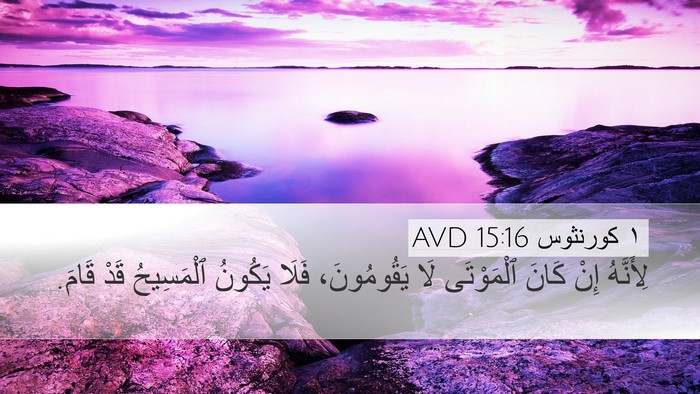 ١ كورنثوس 15:16 AVD Bible Verse Image