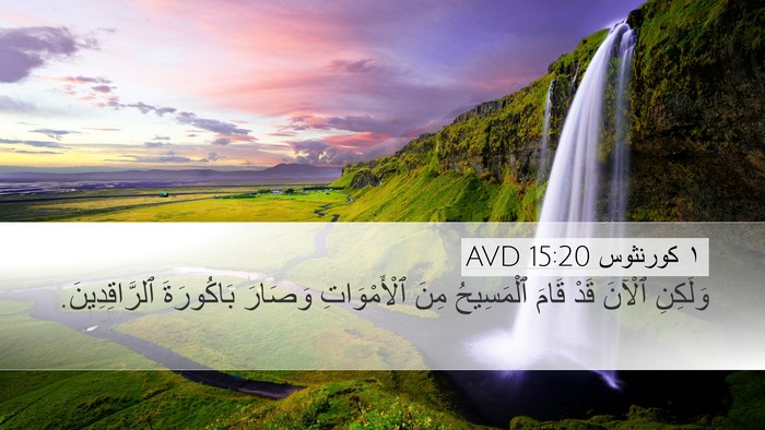 ١ كورنثوس 15:20 AVD Bible Verse Image