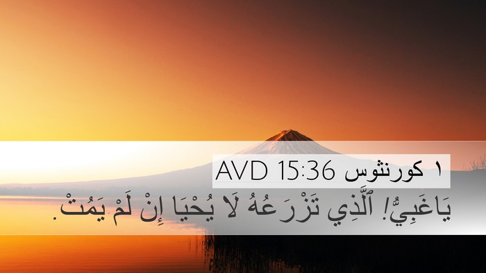 ١ كورنثوس 15:36 AVD Desktop Wallpaper - يَاغَبِيُّ! ٱلَّذِي - Desktop Bible Verse Wallpaper