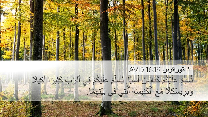 ١ كورنثوس 16:19 AVD Bible Verse Image