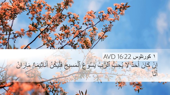 ١ كورنثوس 16:22 AVD Bible Verse Image