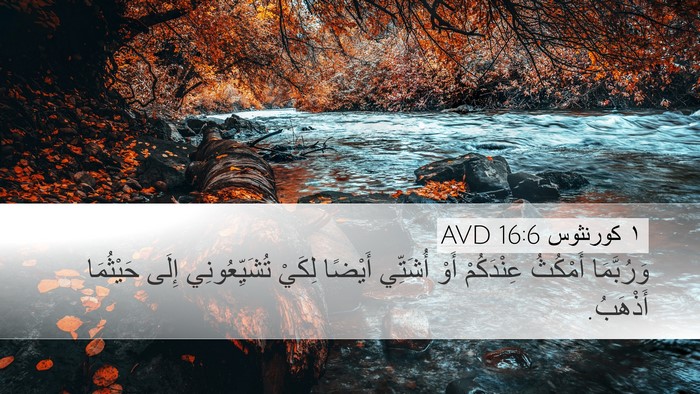 ١ كورنثوس 16:6 AVD Desktop Wallpaper - وَرُبَّمَا أَمْكُثُ - Desktop Bible Verse Wallpaper