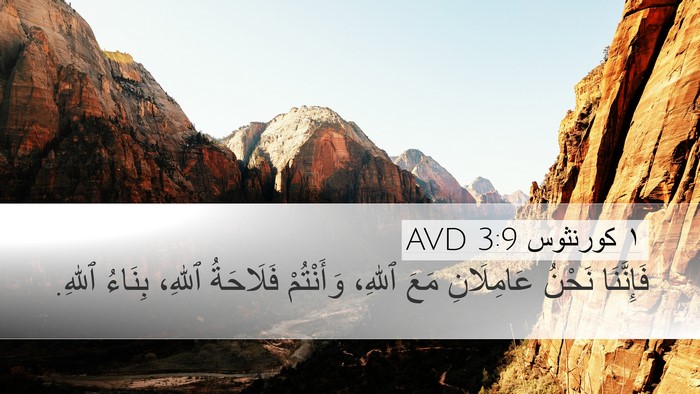 ١ كورنثوس 3:9 AVD Bible Verse Image