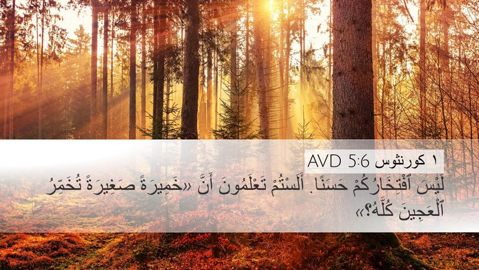 ١ كورنثوس 5:6 AVD Bible Verse Image
