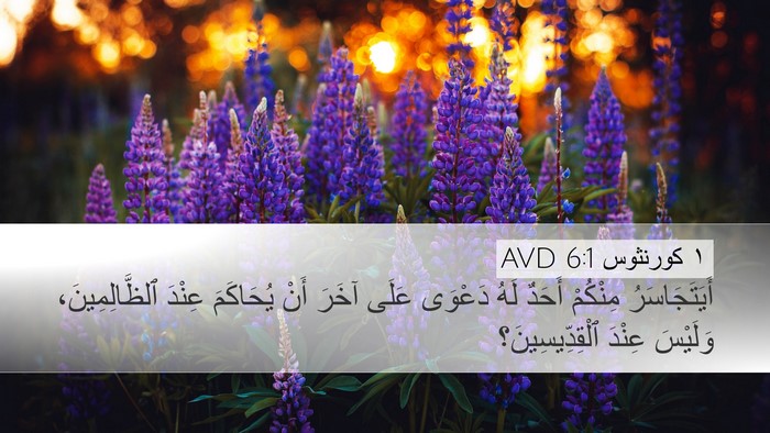 ١ كورنثوس 6:1 AVD Bible Verse Image