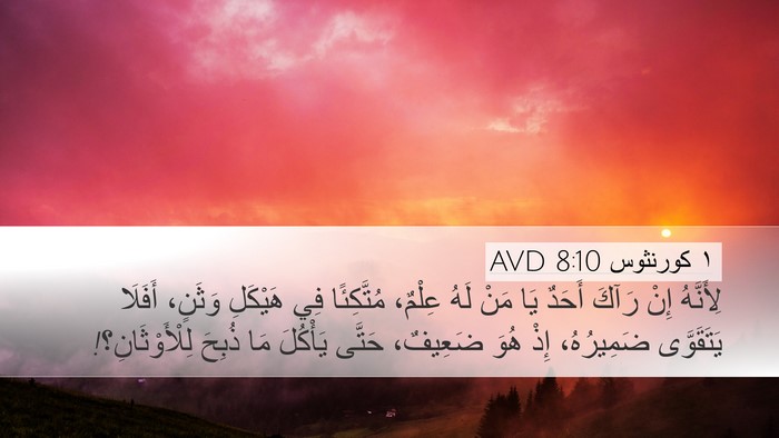 ١ كورنثوس 8:10 AVD Bible Verse Image