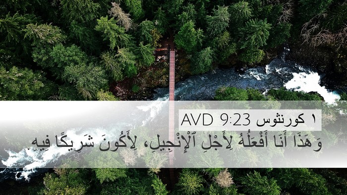 ١ كورنثوس 9:23 AVD Bible Verse Image