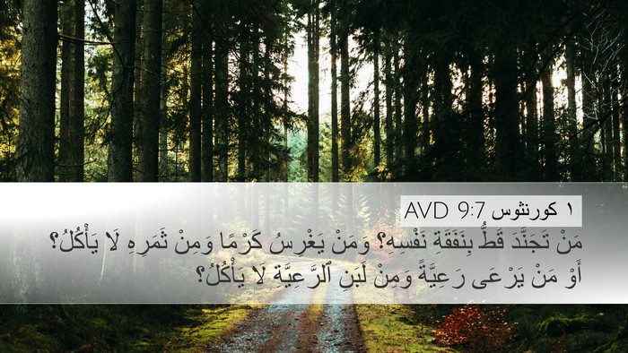 ١ كورنثوس 9:7 AVD Bible Verse Image