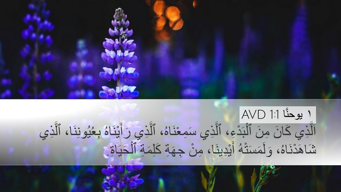 ١ يوحنَّا 1:1 AVD Desktop Wallpaper - اَلَّذِي كَانَ مِنَ - Desktop Bible Verse Wallpaper