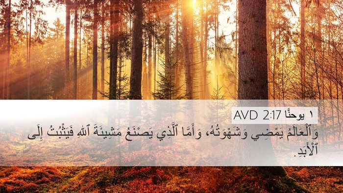 ١ يوحنَّا 2:17 AVD Bible Verse Image