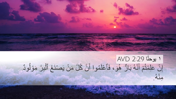 ١ يوحنَّا 2:29 AVD Bible Verse Image
