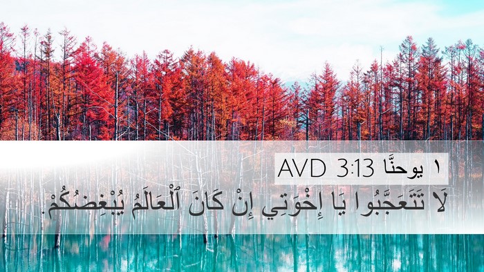 ١ يوحنَّا 3:13 AVD Bible Verse Image