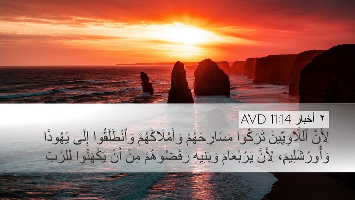 ٢ أخبار 11:14 AVD Bible Verse Image