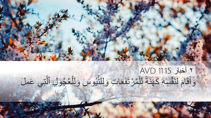 ٢ أخبار 11:15 AVD Bible Verse Image