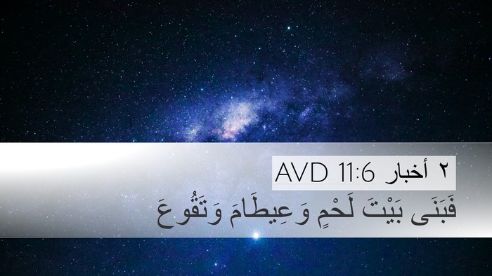 ٢ أخبار 11:6 AVD Bible Verse Image