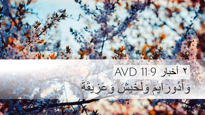 ٢ أخبار 11:9 AVD Desktop Wallpaper - وَأَدُورَايِمَ وَلَخِيشَ - Desktop Bible Verse Wallpaper