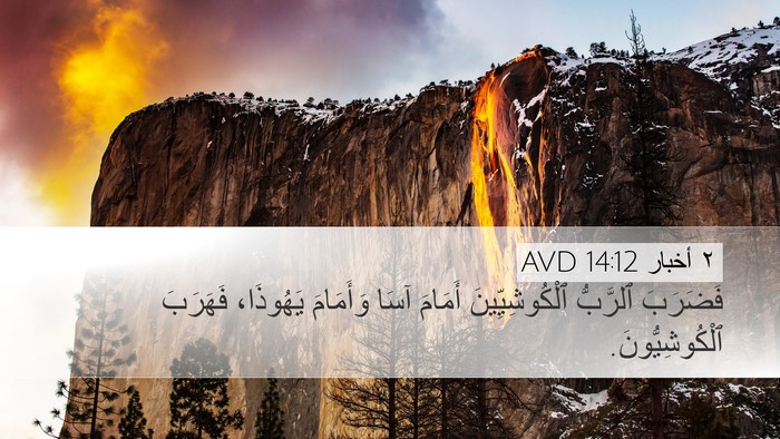 ٢ أخبار 14:12 AVD Bible Verse Image