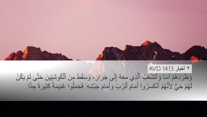 ٢ أخبار 14:13 AVD Bible Verse Image