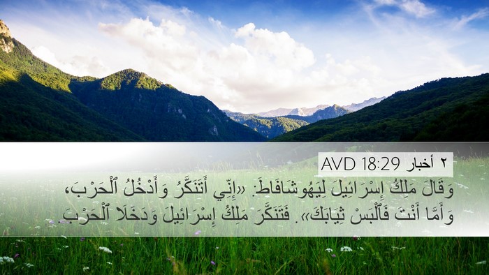 ٢ أخبار 18:29 AVD Bible Verse Image