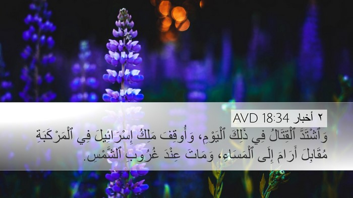 ٢ أخبار 18:34 AVD Desktop Wallpaper - وَٱشْتَدَّ ٱلْقِتَالُ فِي - Desktop Bible Verse Wallpaper