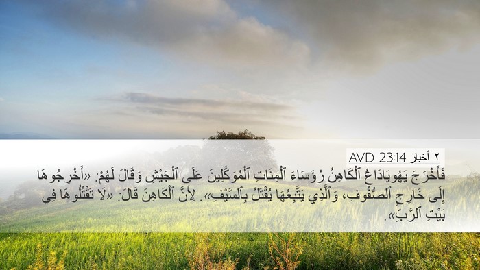 ٢ أخبار 23:14 AVD Bible Verse Image