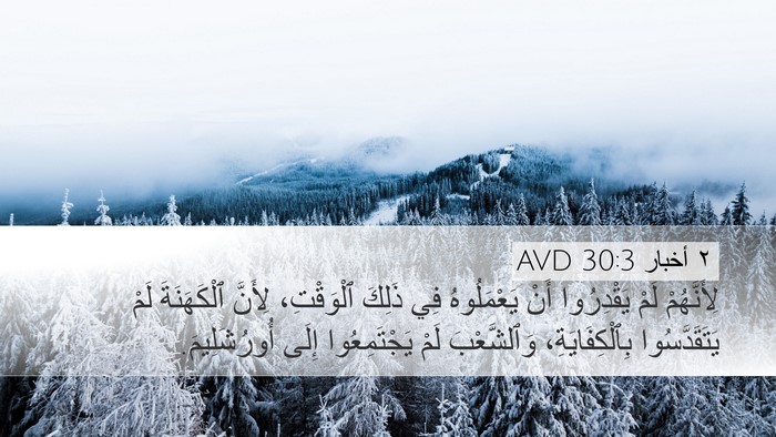 ٢ أخبار 30:3 AVD Desktop Wallpaper - لِأَنَّهُمْ لَمْ - Desktop Bible Verse Wallpaper