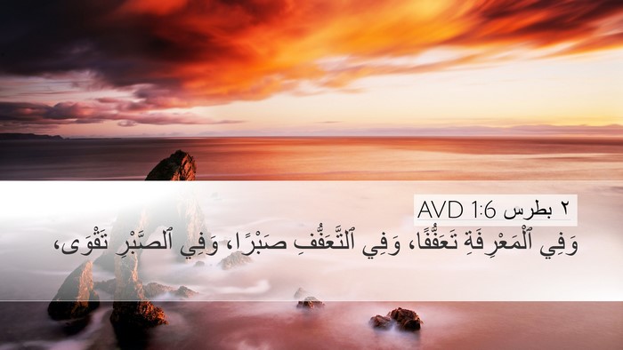 ٢ بطرس 1:6 AVD Desktop Wallpaper - وَفِي ٱلْمَعْرِفَةِ - Desktop Bible Verse Wallpaper