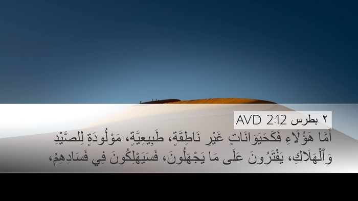 ٢ بطرس 2:12 AVD Bible Verse Image