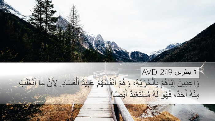 ٢ بطرس 2:19 AVD Bible Verse Image