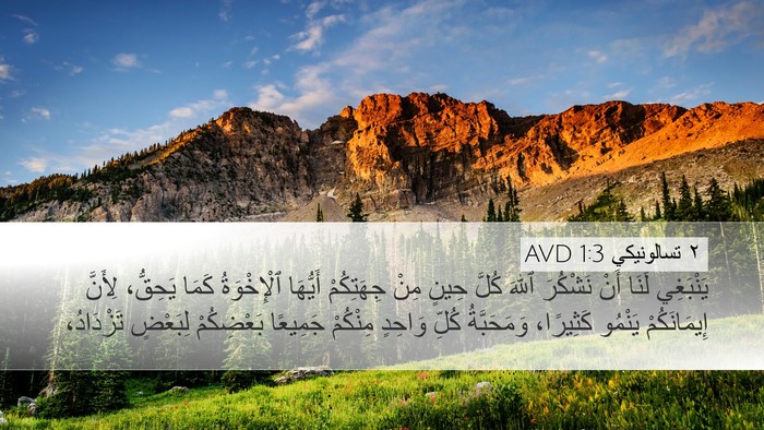 ٢ تسالونيكي 1:3 AVD Bible Verse Image