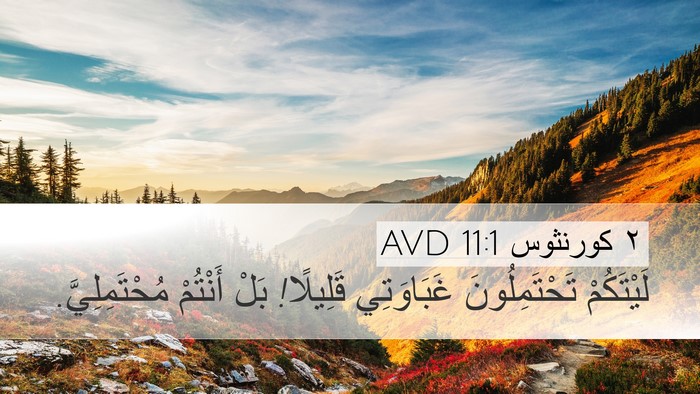 ٢ كورنثوس 11:1 AVD Desktop Wallpaper - لَيْتَكُمْ تَحْتَمِلُونَ - Desktop Bible Verse Wallpaper