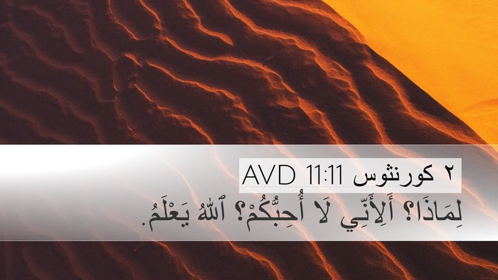 ٢ كورنثوس 11:11 AVD Bible Verse Image