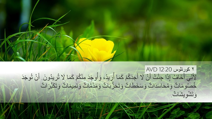 ٢ كورنثوس 12:20 AVD Bible Verse Image