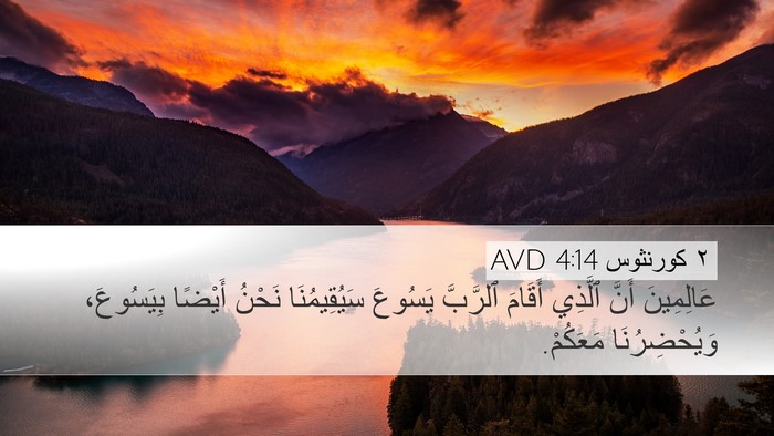 ٢ كورنثوس 4:14 AVD Bible Verse Image