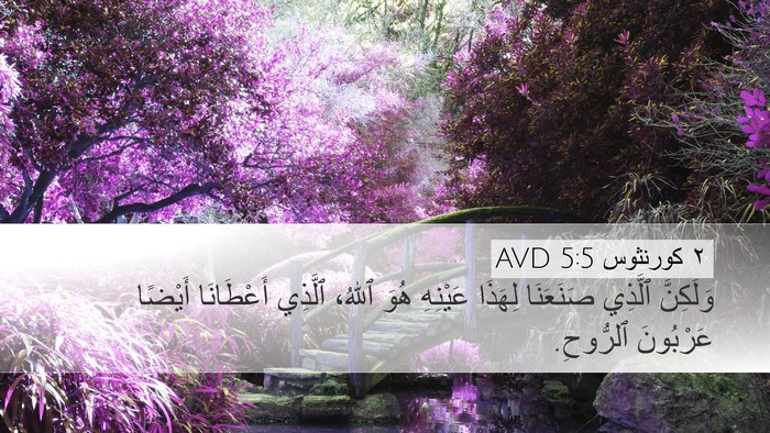 ٢ كورنثوس 5:5 AVD Bible Verse Image