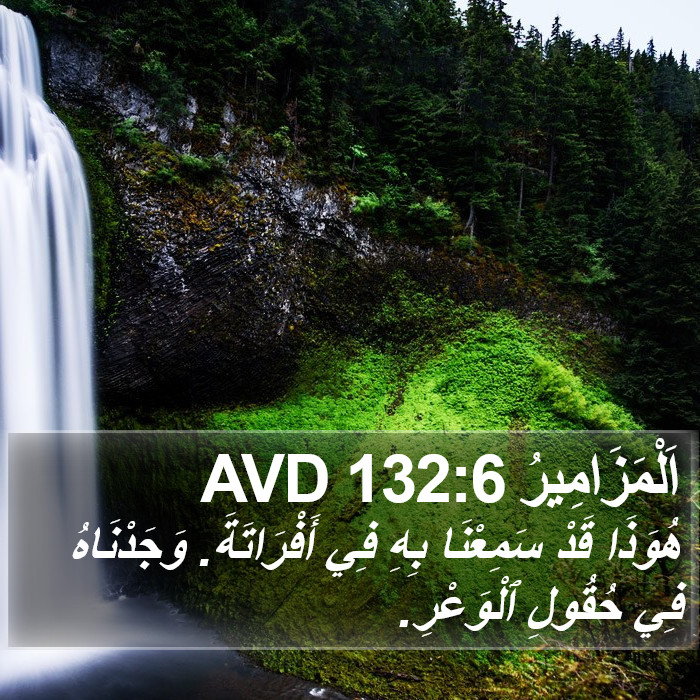 اَلْمَزَامِيرُ 132:6 AVD - هُوَذَا قَدْ سَمِعْنَا - Bible Verse Picture