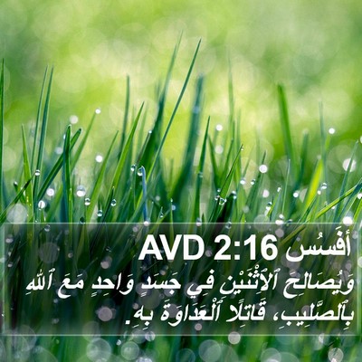أفَسُس 2:16 AVD Bible Verse Image