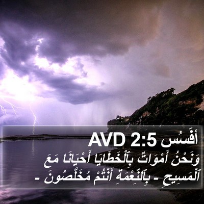 أفَسُس 2:5 AVD Bible Verse Image