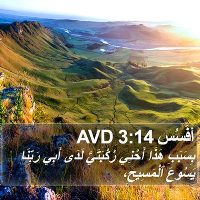 أفَسُس 3:14 AVD Bible Verse Image