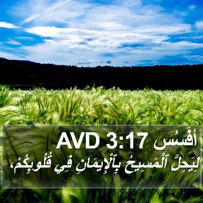 أفَسُس 3:17 AVD Bible Verse Image